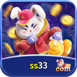 ss33